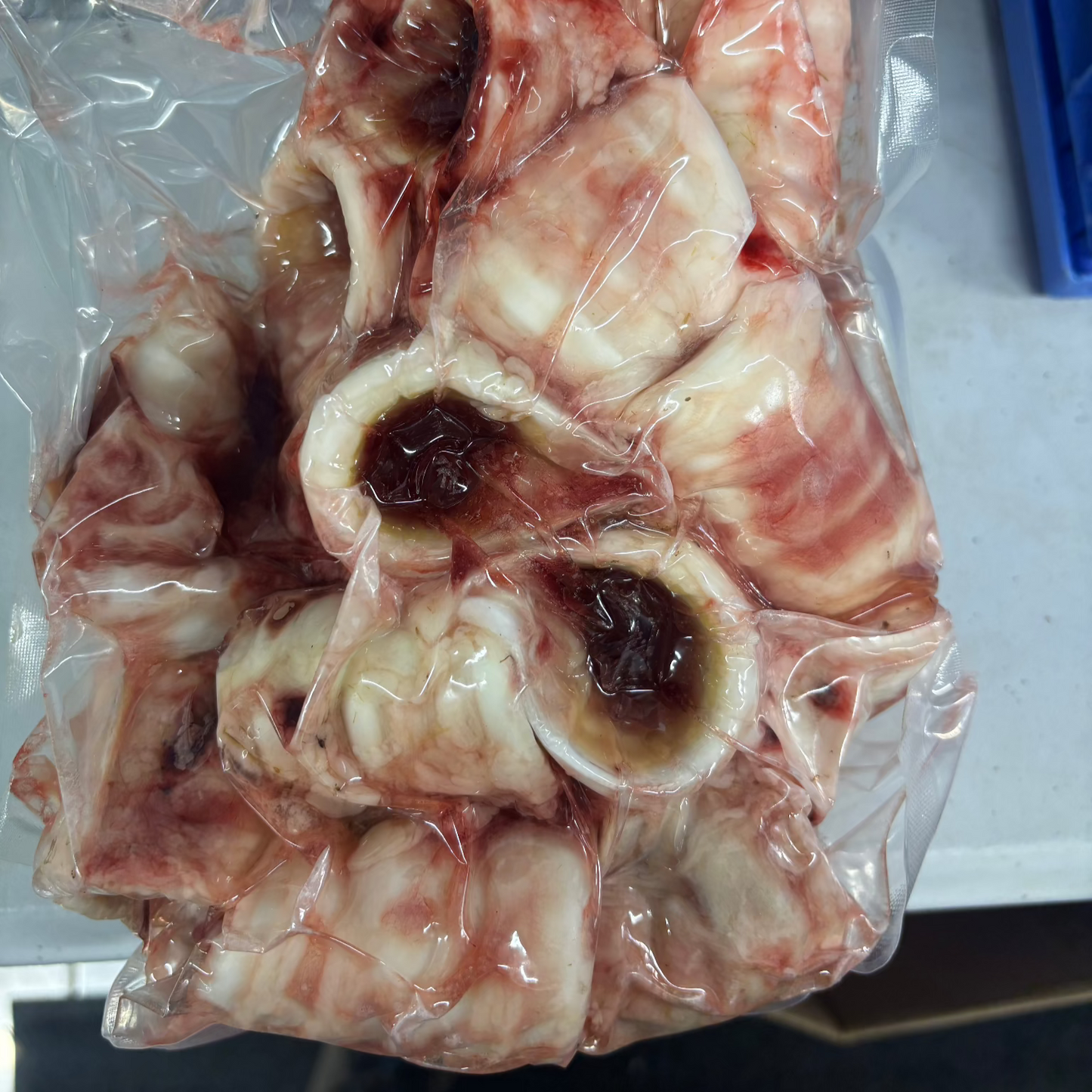 Beef Trachea (Fresh Frozen)