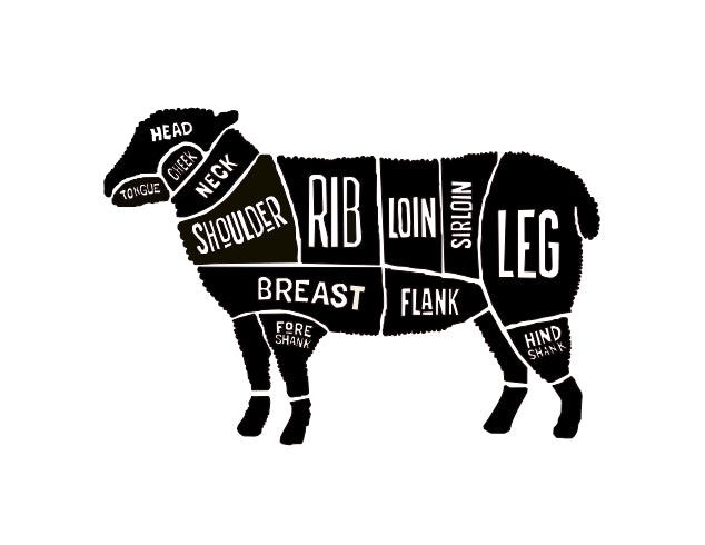 Lamb
